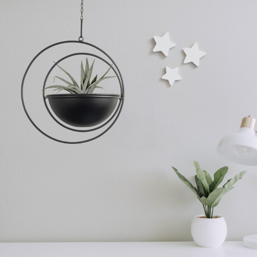 Bowl Hanging Planter