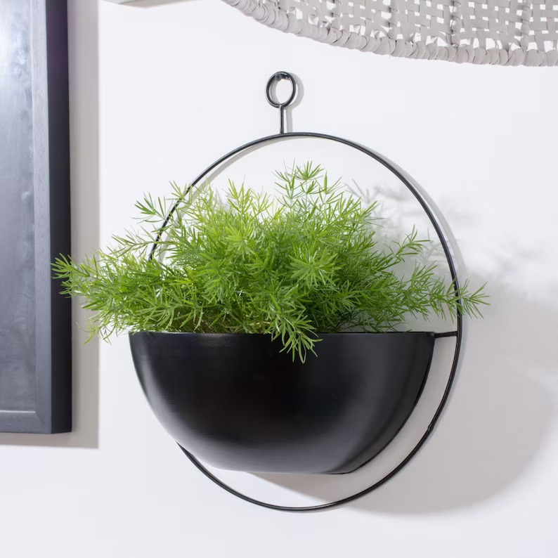 Wall Hanging Planter