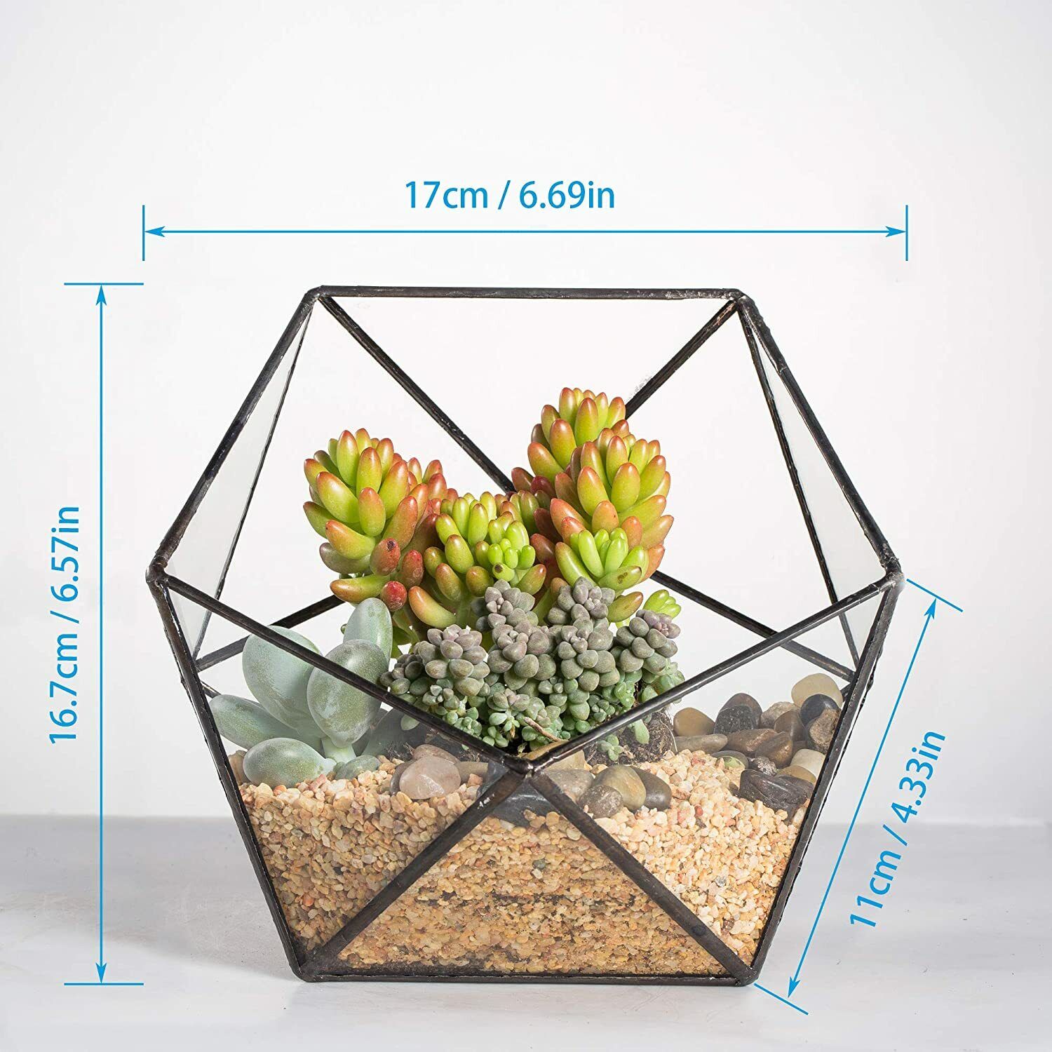 Metal Terrarium