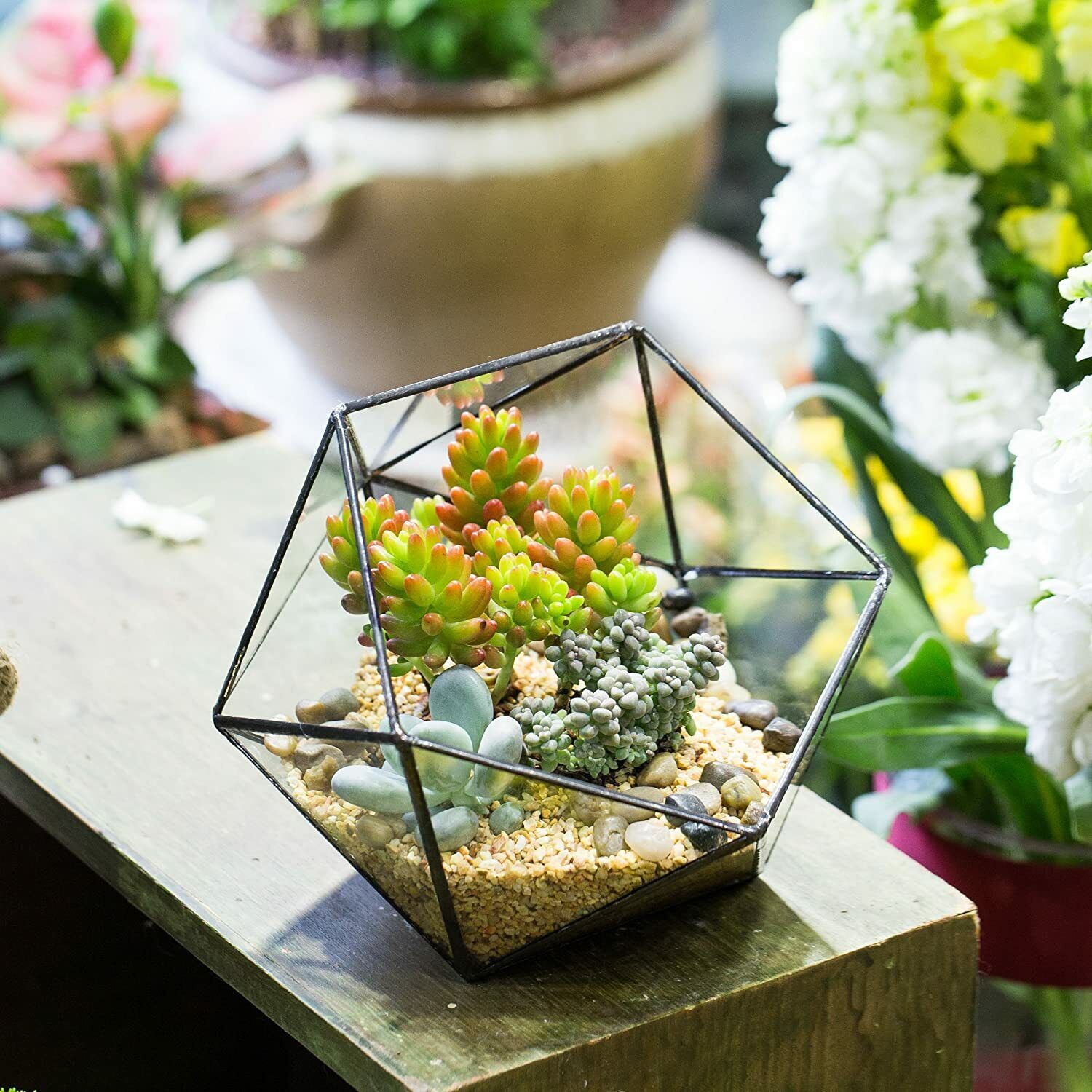 Metal Terrarium